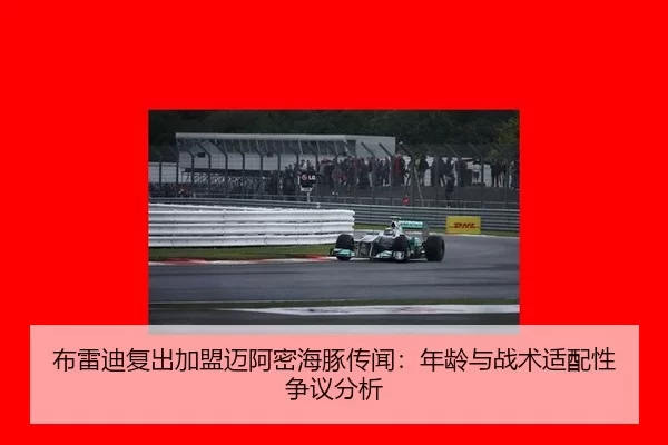 bu-lei-di-fu-chu-jia-meng-mai-a-mi-hai-tun-chuan-wen-nian-ling-yu-zhan-shu-shi-pei-xing-zheng-yi-fen-xi-2-544.jpg